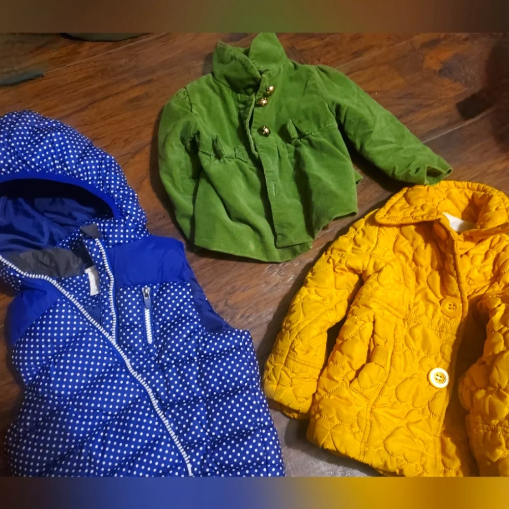 Baby Girl Toddler Lot Bundle Dresses Jackets Coats Fancy Church Sweater Winter - Picture 2 of 12